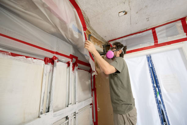 Best Black Mold Removal  in Middlesex, NJ