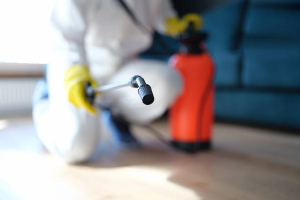  Middlesex, NJ Mold Removal Pros